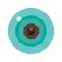 iCSee APK